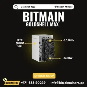 Goldshell DG Max